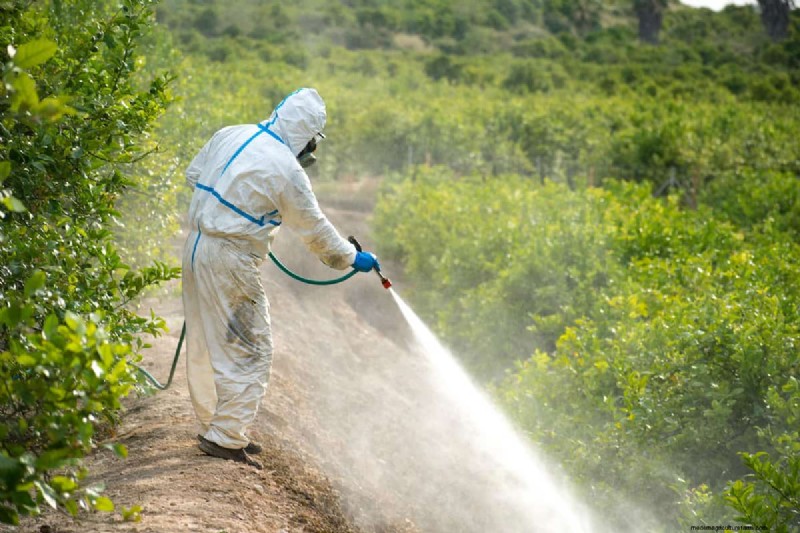 Mixing Roundup & Diesel Fuel: Risks & Precautions