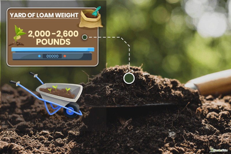 Loam Weight: Understanding the Density of Garden Soil
