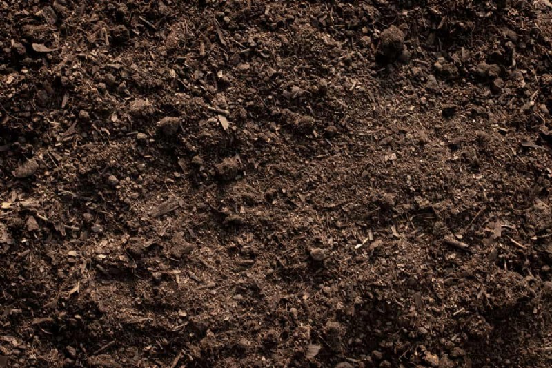 Loam Weight: Understanding the Density of Garden Soil