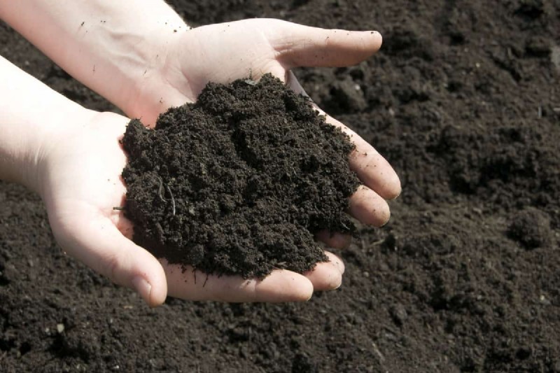 Loam Weight: Understanding the Density of Garden Soil