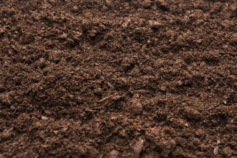 Loam Weight: Understanding the Density of Garden Soil