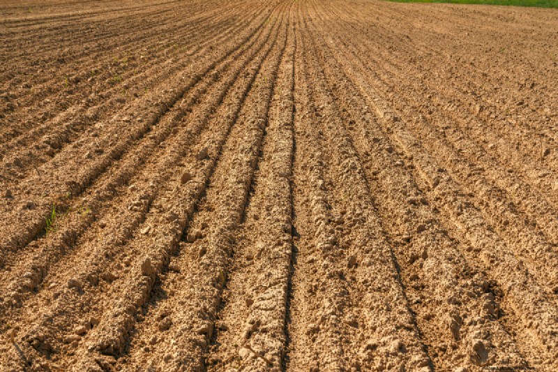 Loam Weight: Understanding the Density of Garden Soil