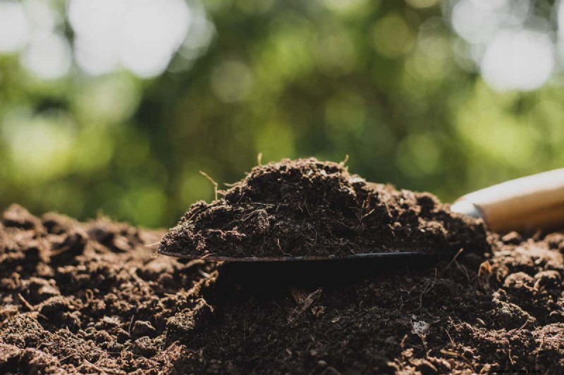 Loam Weight: Understanding the Density of Garden Soil