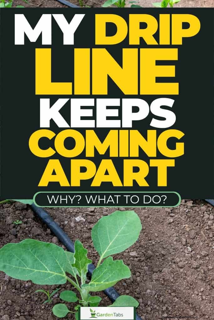 Fixing Leaky Drip Irrigation Lines: Causes & Solutions