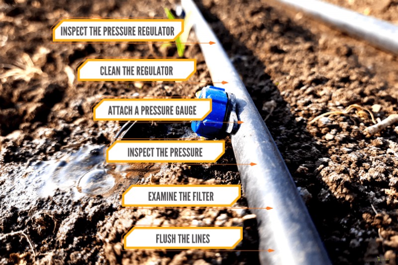 Fixing Leaky Drip Irrigation Lines: Causes & Solutions