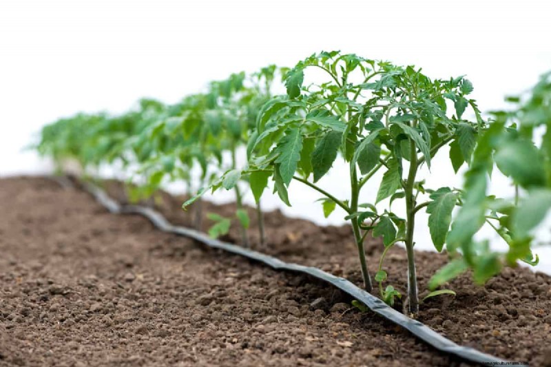 Fixing Leaky Drip Irrigation Lines: Causes & Solutions