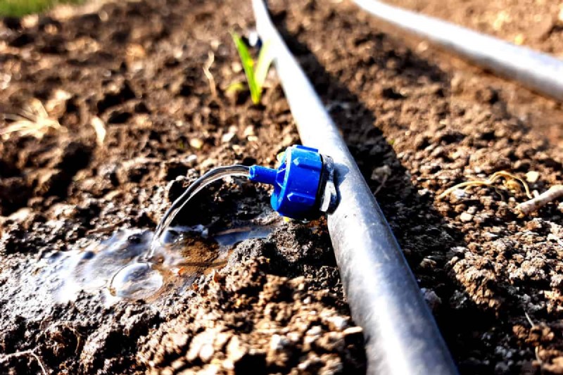 Fixing Leaky Drip Irrigation Lines: Causes & Solutions