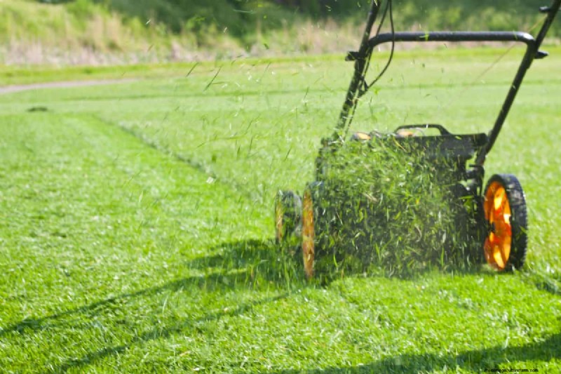Kobalt Electric Mower Starting Guide: A Simple Step-by-Step