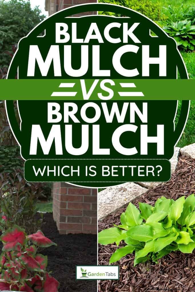 Black vs. Brown Mulch: A Comprehensive Comparison for Your Garden