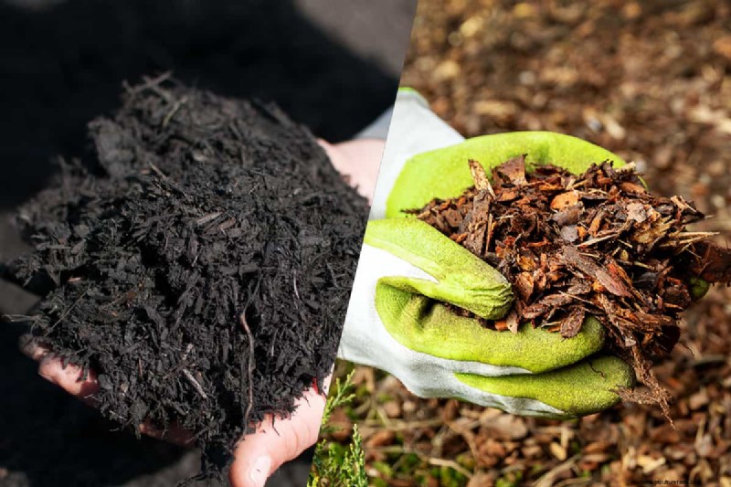 Black vs. Brown Mulch: A Comprehensive Comparison for Your Garden