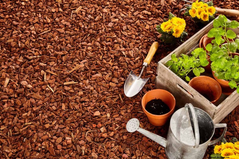 Black vs. Brown Mulch: A Comprehensive Comparison for Your Garden