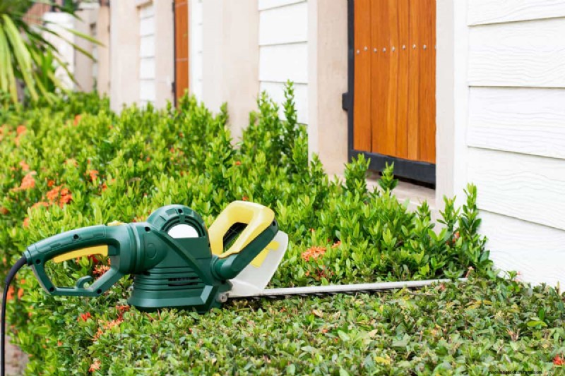 Mastering Bush Shaping: A Comprehensive Guide to Hedge Trimmers