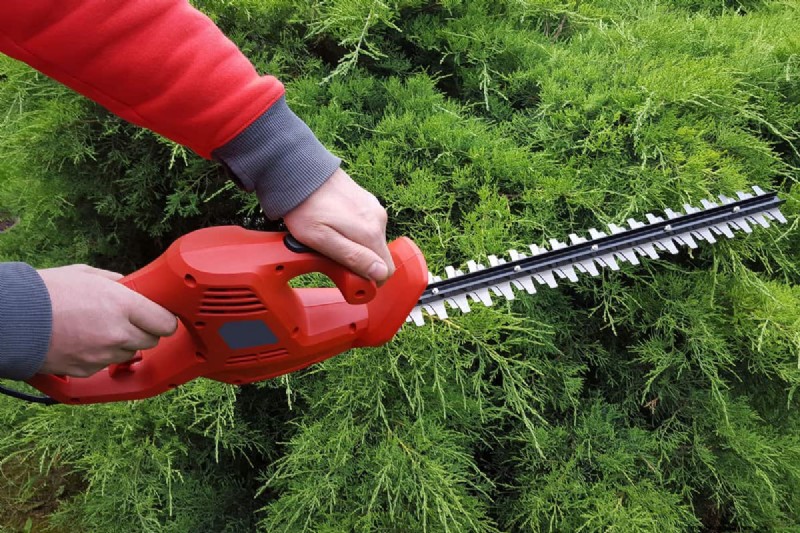 Mastering Bush Shaping: A Comprehensive Guide to Hedge Trimmers