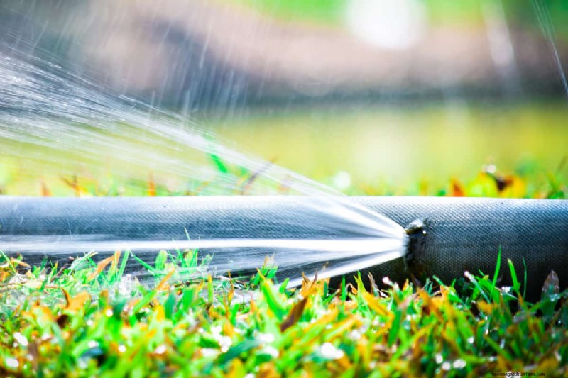How to Remove a Garden Hose from a Pressure Washer: A Step-by-Step Guide