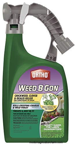 Effective Herbicides for Creeping Charlie Without Damaging Your Lawn