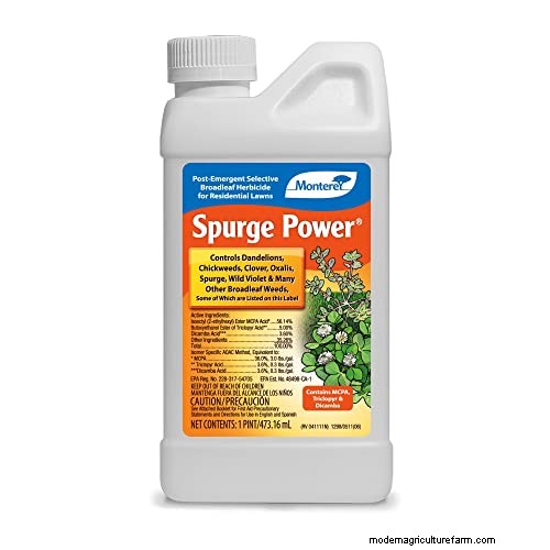 Effective Herbicides for Creeping Charlie Without Damaging Your Lawn