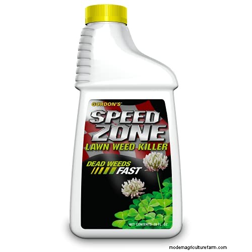 Effective Herbicides for Creeping Charlie Without Damaging Your Lawn