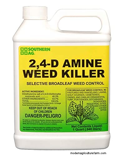 Effective Herbicides for Creeping Charlie Without Damaging Your Lawn
