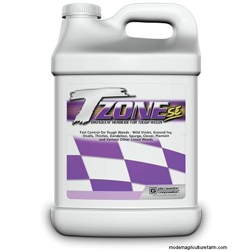 Effective Herbicides for Creeping Charlie Without Damaging Your Lawn