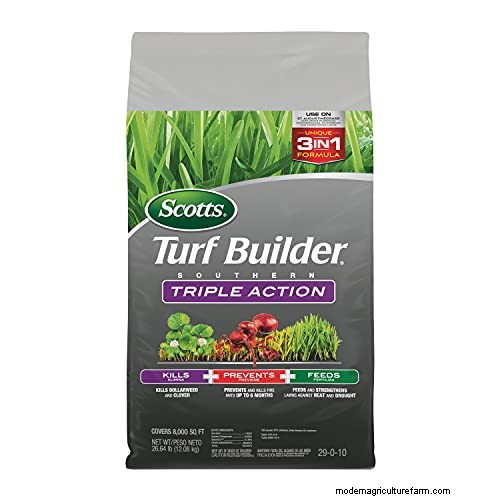 Effective Herbicides for Creeping Charlie Without Damaging Your Lawn