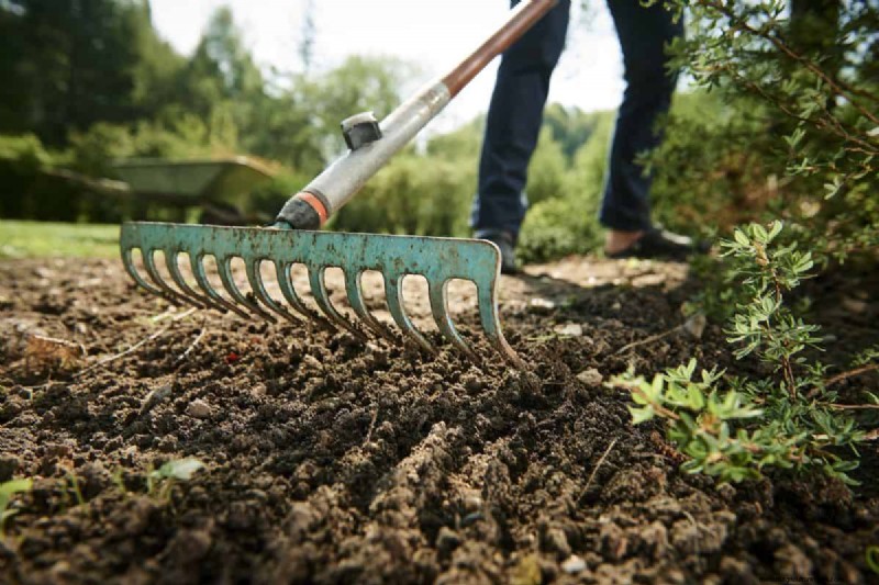 Bow Rake vs. Leaf Rake: Which is Right for Your Yard?