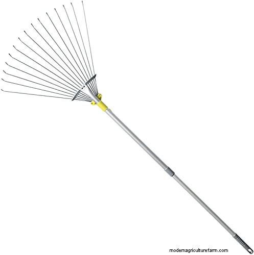 Bow Rake vs. Leaf Rake: Which is Right for Your Yard?