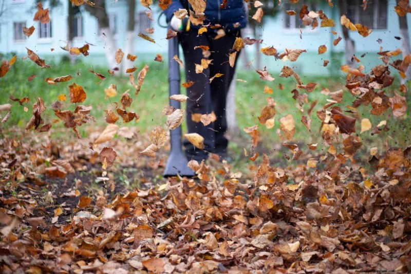 Bow Rake vs. Leaf Rake: Which is Right for Your Yard?