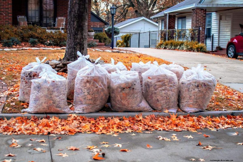 Bow Rake vs. Leaf Rake: Which is Right for Your Yard?