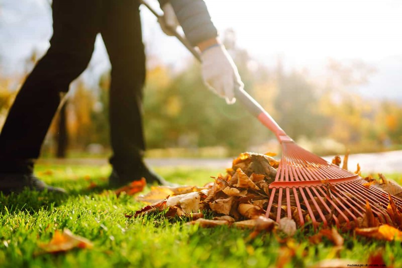 Landscape Rake vs. Box Blade: Choosing the Right Tool for Soil Preparation