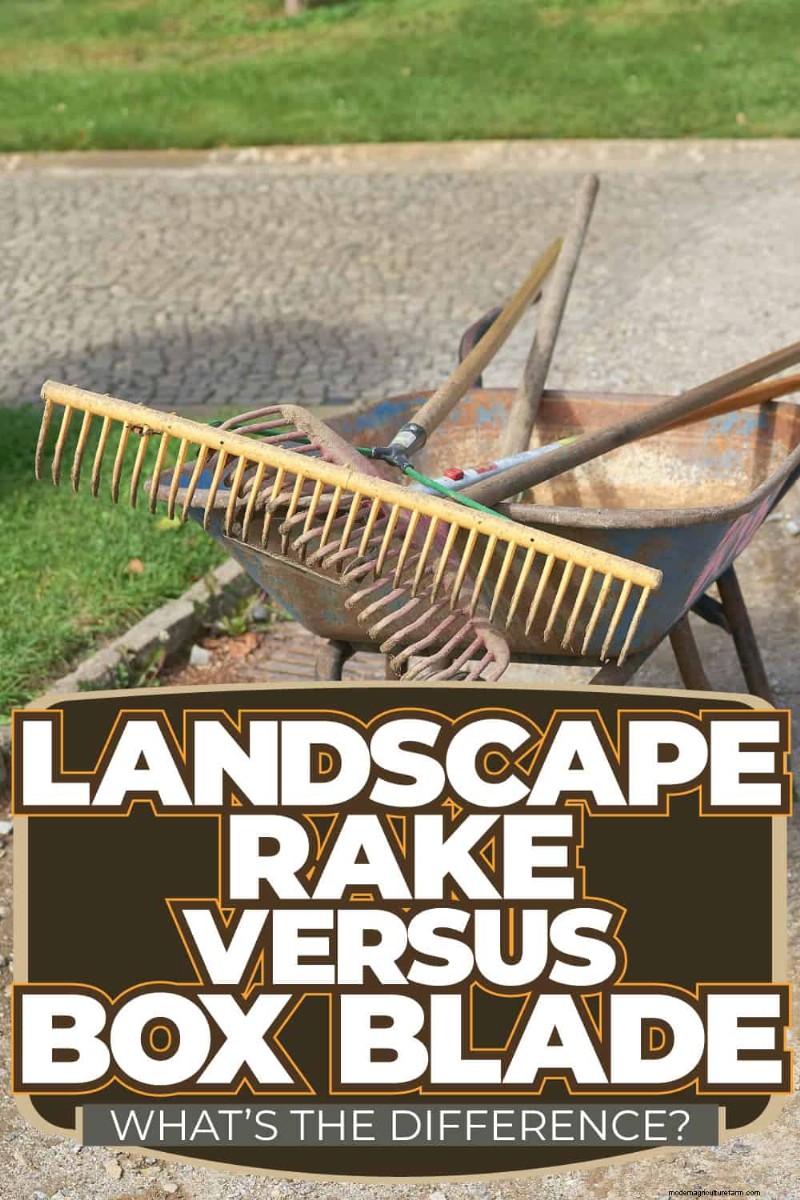 Landscape Rake vs. Box Blade: Choosing the Right Tool for Soil Preparation