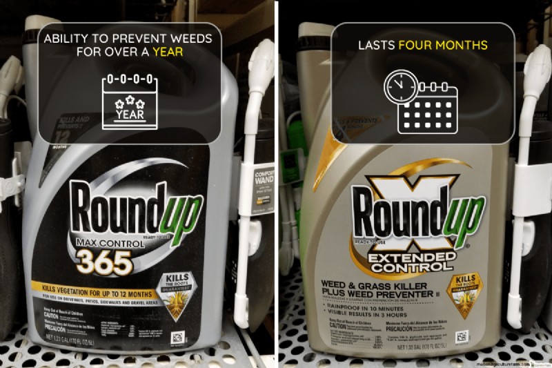 Roundup 365 vs. Extended Control: Key Differences & Weed Prevention