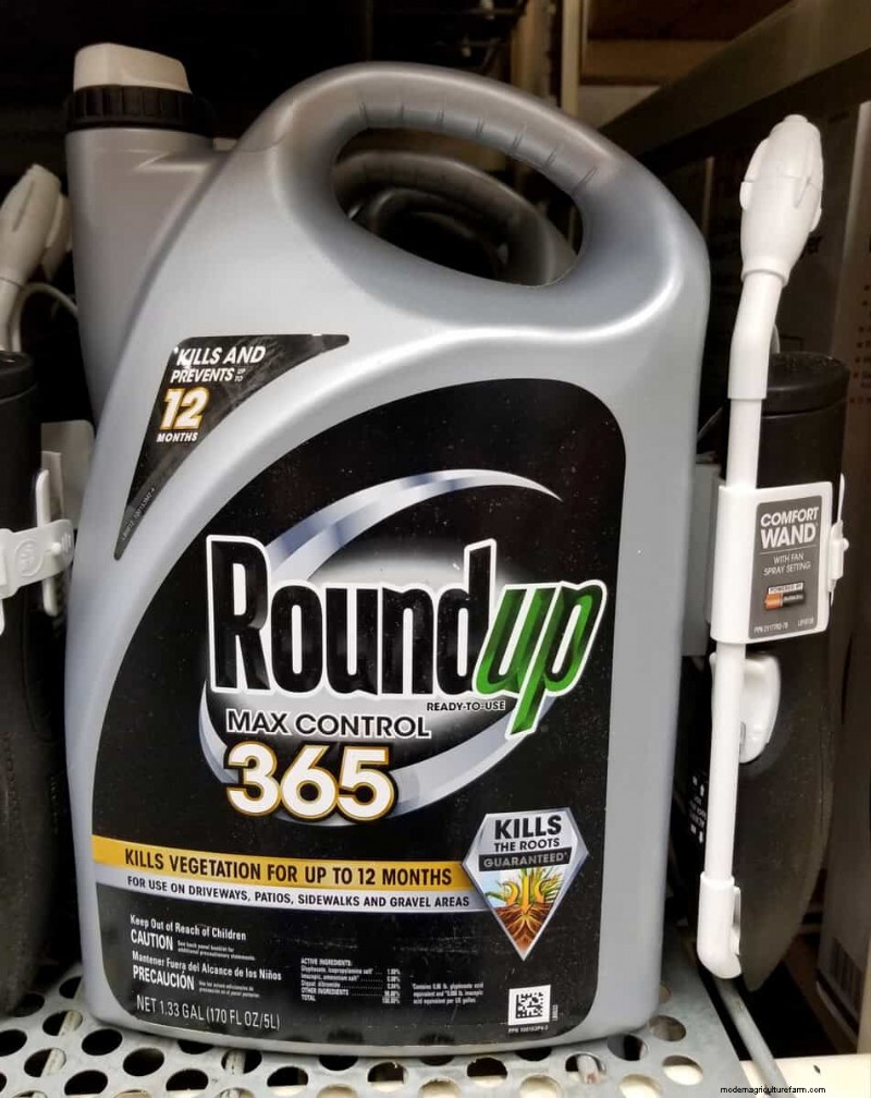 Roundup 365 vs. Extended Control: Key Differences & Weed Prevention