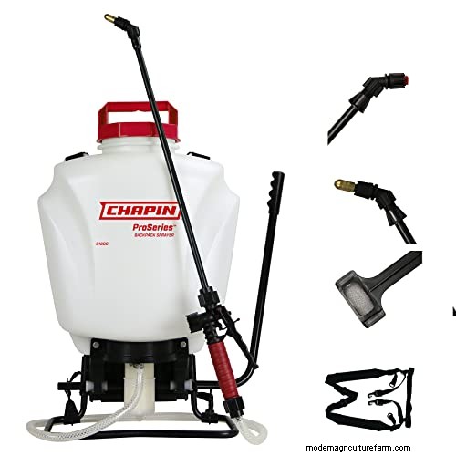 Roundup 365 vs. Extended Control: Key Differences & Weed Prevention