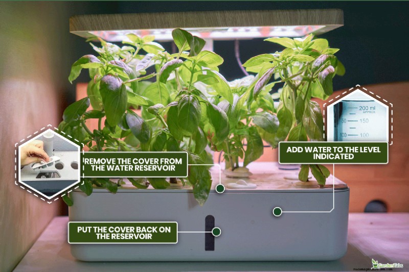 Aerogarden Red Light Issue: Troubleshooting & Water Level
