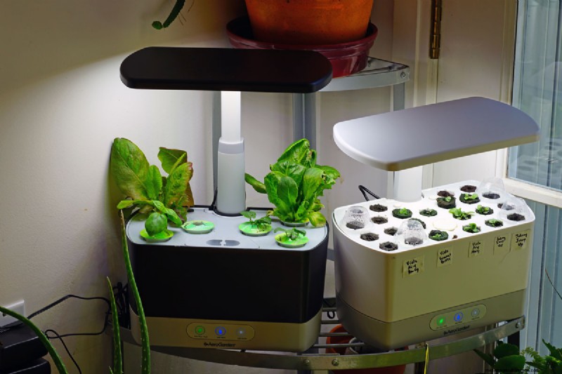 Aerogarden Red Light Issue: Troubleshooting & Water Level