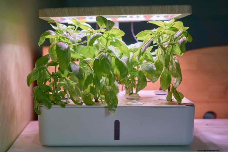 Aerogarden Red Light Issue: Troubleshooting & Water Level