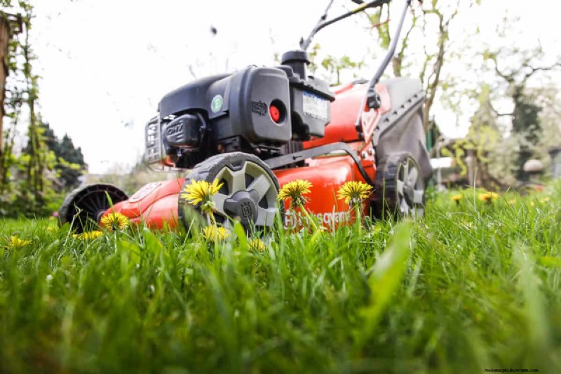 Best Oil for Husqvarna Lawn Mowers: Recommendations & Types