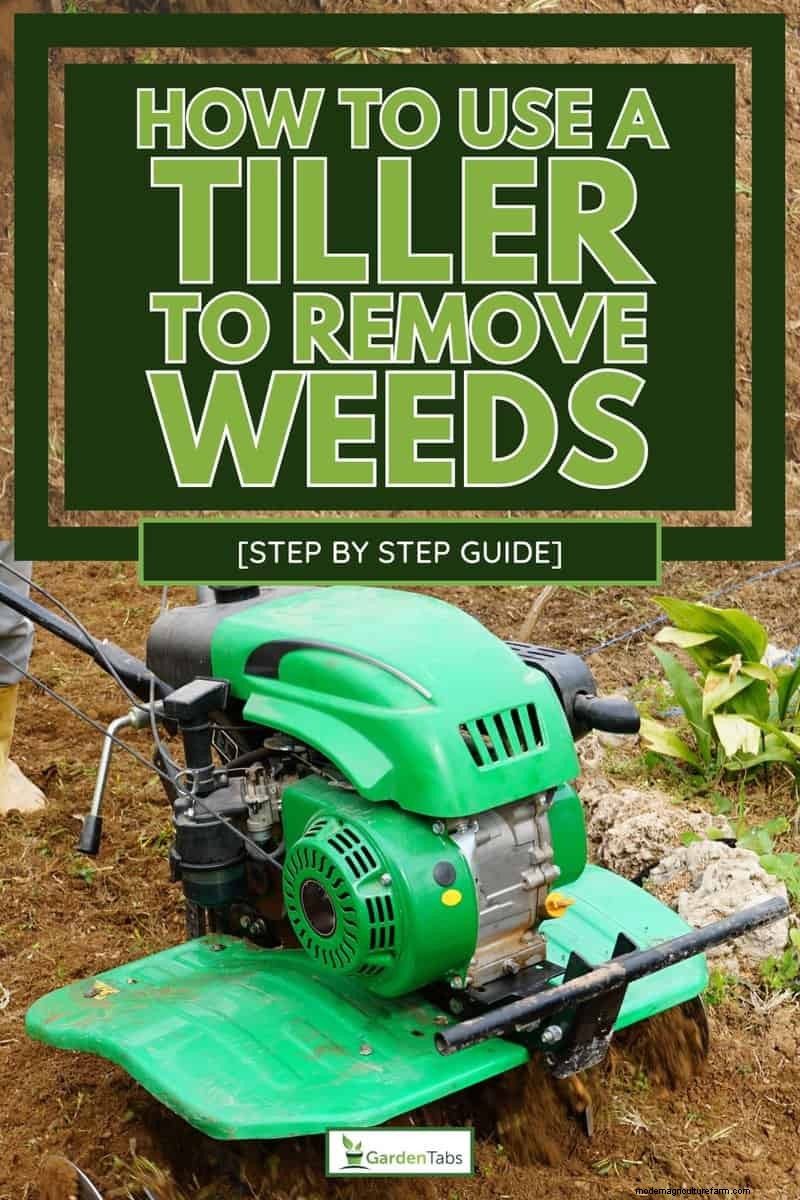 Effective Weed Removal with a Tiller: A Step-by-Step Guide