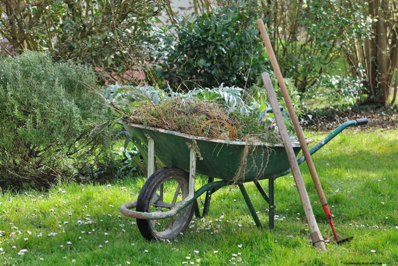 Effective Weed Removal with a Tiller: A Step-by-Step Guide