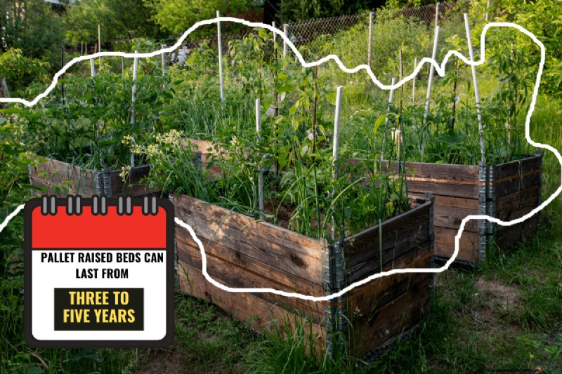Pallet Raised Bed Lifespan: How Long Do They Really Last?