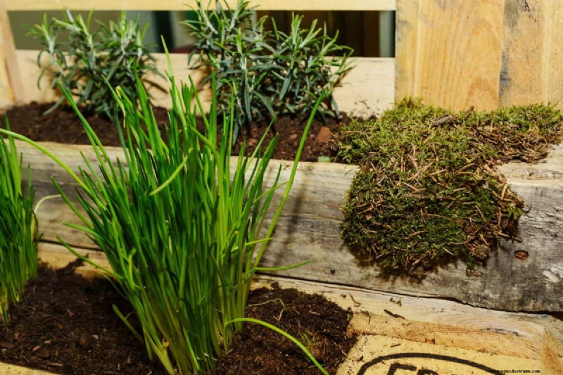 Pallet Raised Bed Lifespan: How Long Do They Really Last?