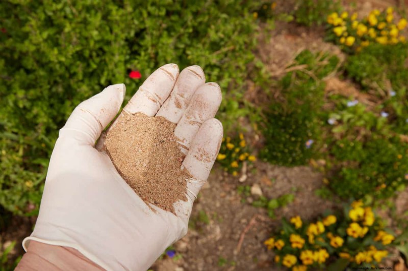 Bone Meal & Wood Ash for Conifers: Benefits & Alternatives