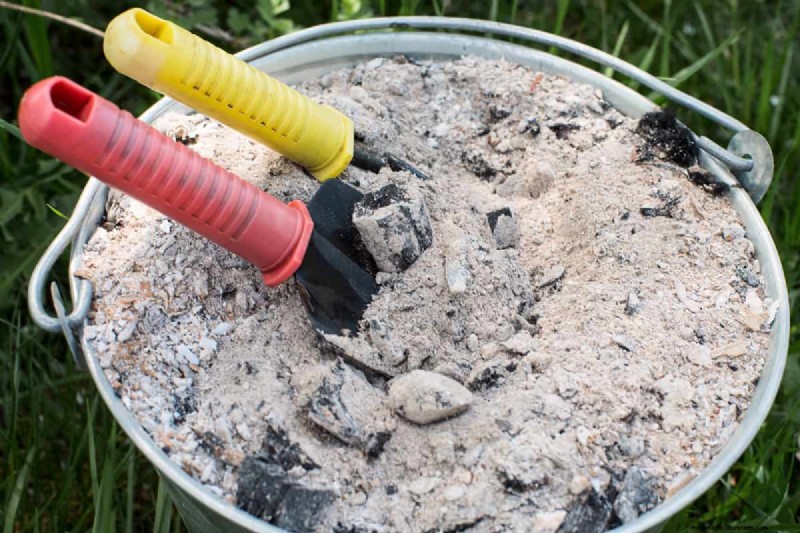 Bone Meal & Wood Ash for Conifers: Benefits & Alternatives