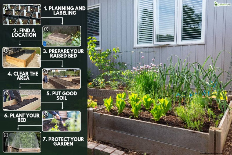 Raised Bed Vegetable Garden: A Beginner s Step-by-Step Guide
