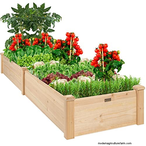 Raised Bed Vegetable Garden: A Beginner s Step-by-Step Guide