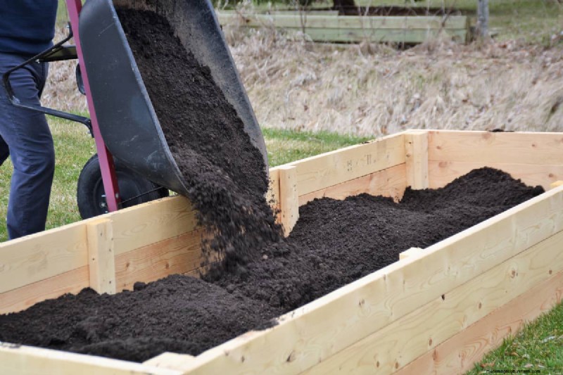 Raised Bed Vegetable Garden: A Beginner s Step-by-Step Guide