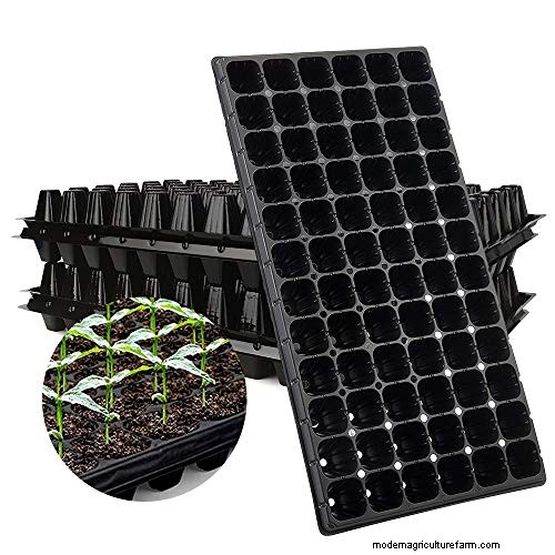 Raised Bed Vegetable Garden: A Beginner s Step-by-Step Guide