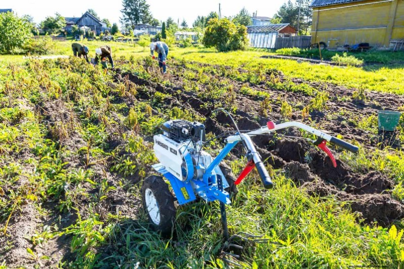 Troubleshooting: Why Won t My Tiller Engine Run? - Causes & Fixes