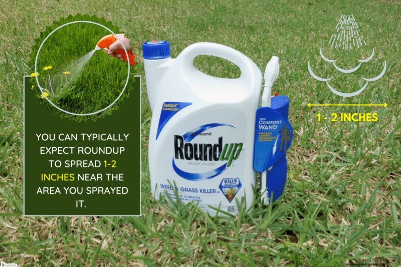 Roundup Spread & Effectiveness: How Far Does it Travel?
