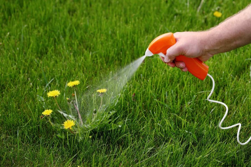Roundup Spread & Effectiveness: How Far Does it Travel?